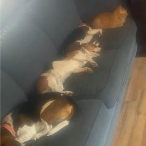 Meet your Posher, Nelson